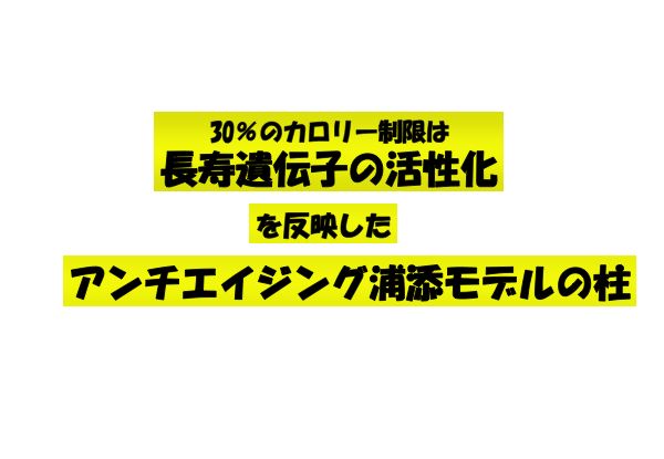 資料：30％のカロリー制限は長寿遺伝子を活性化