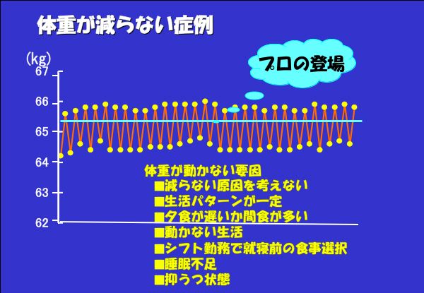 資料：グラフ化体重表（体重が減らない症例）