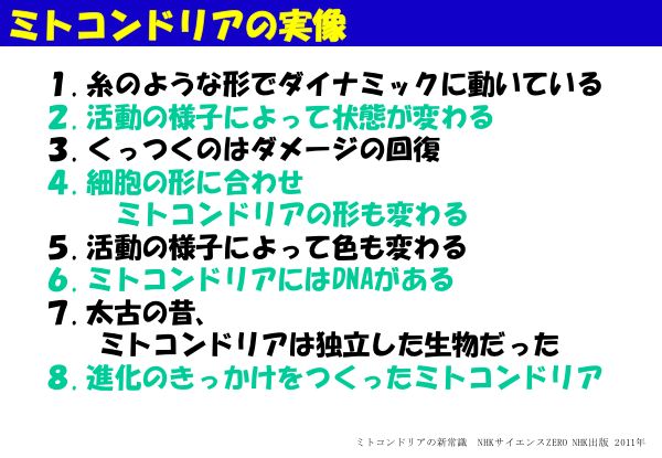 資料：ミトコンドリアの実像