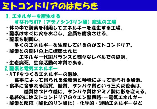 資料：ミトコンドリアのはたらき