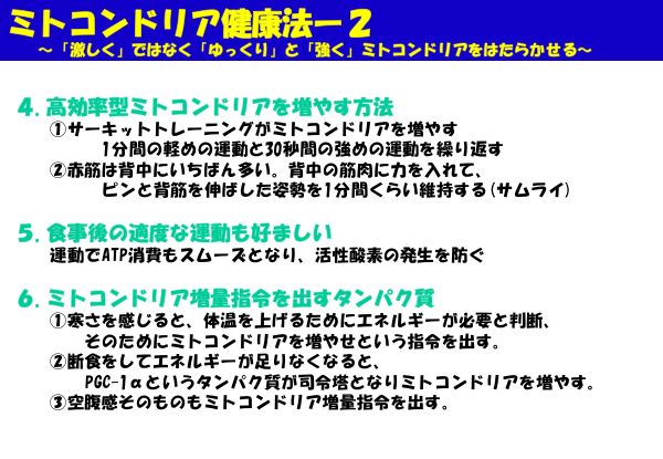 資料：ミトコンドリア健康法−2