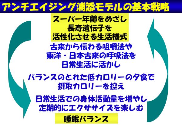 資料：アンチエイジング浦添モデルの基本戦略