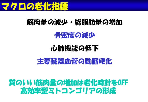 資料：マクロの老化指標