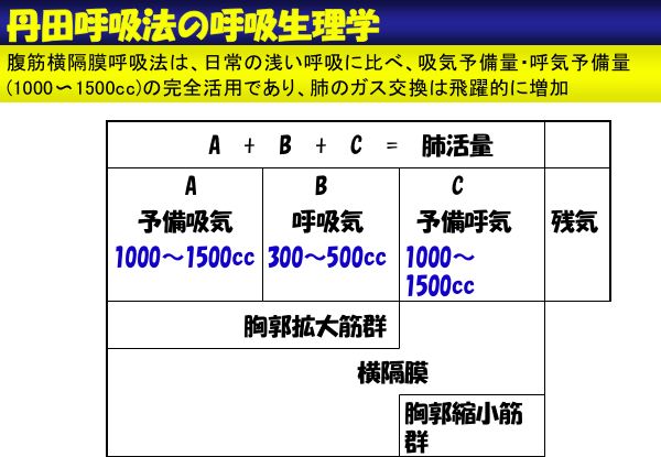 資料：丹田呼吸法の呼吸生理学