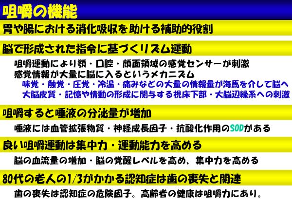 資料：咀嚼の機能