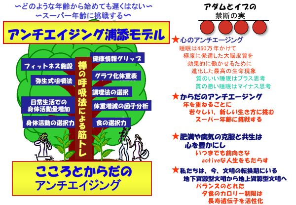 資料：アンチエイジング浦添モデル