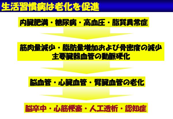 資料：生活習慣病は老化を促進