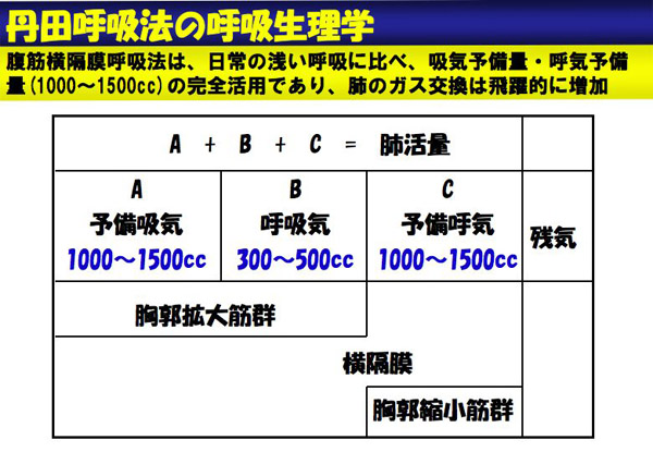 凡田呼吸法の呼吸生理学