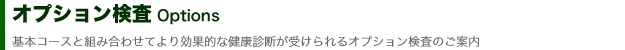 オプション検査について
